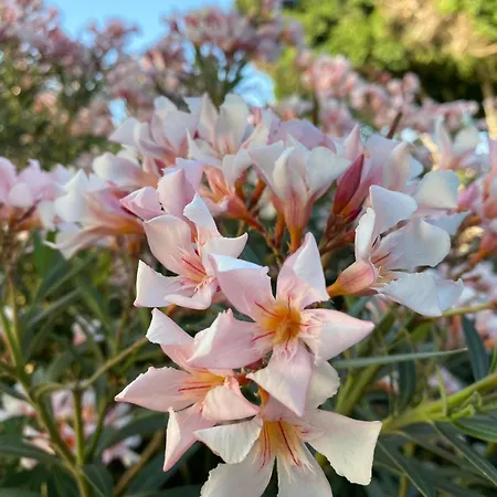 Appartement Numancia1- 3b Las Palmas de Gran Canaria